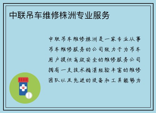 中联吊车维修株洲专业服务