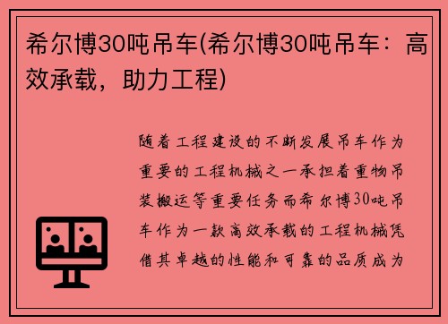 希尔博30吨吊车(希尔博30吨吊车：高效承载，助力工程)