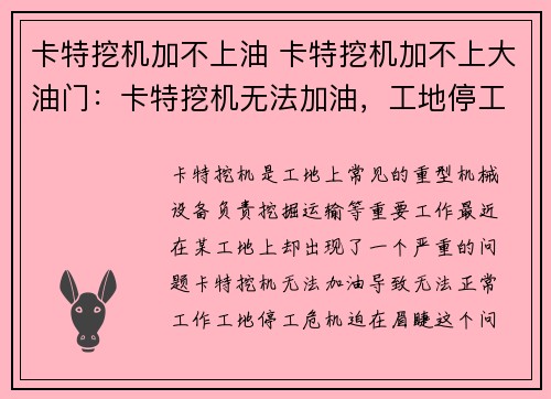 卡特挖机加不上油 卡特挖机加不上大油门：卡特挖机无法加油，工地停工危机